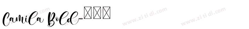 Camila Bold字体转换